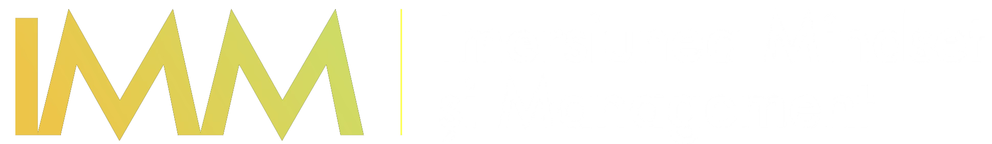 IMM – Imersiunea Mindset și Management